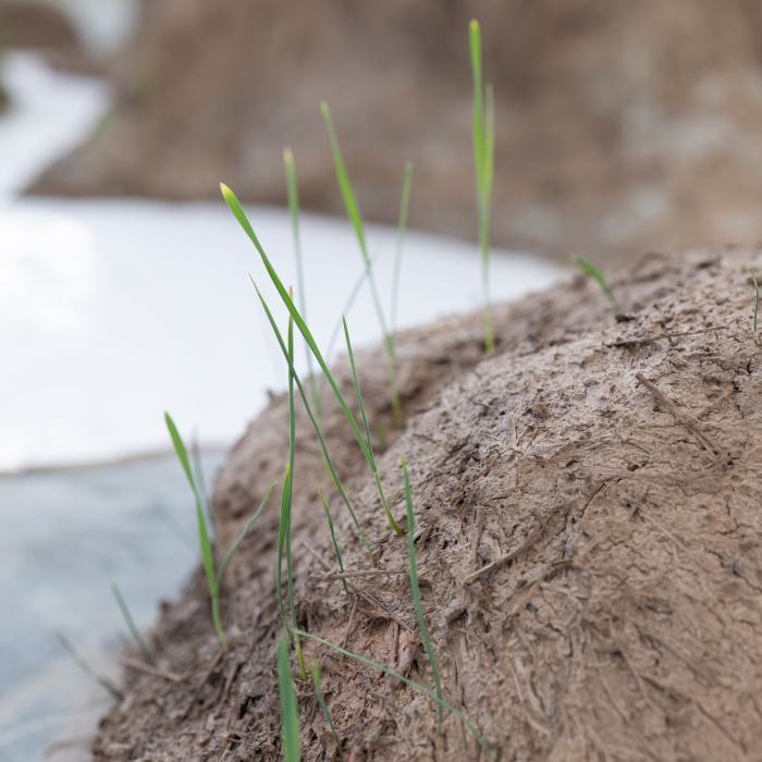 Alexandre Ghandour, Les humeurs sont liquides et les mirages solides, 2021, travail de Bachelor. Photo: Laura Morier-Genoud / EDHEA